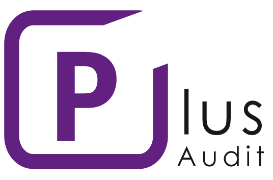 Plus audit